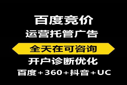 百度竞价广告运营全解析：成功案例揭秘
